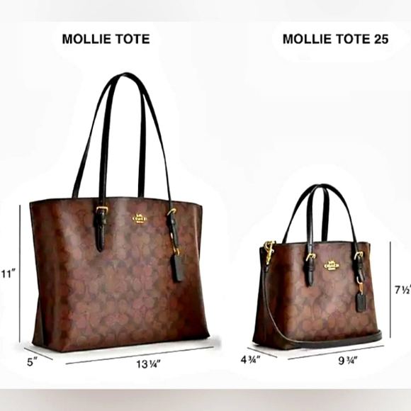 COACH 🥳HOST PICK🥳Mollie Tote Bag In Signature Canvas With Country Floral Print - Picture 8 of 8